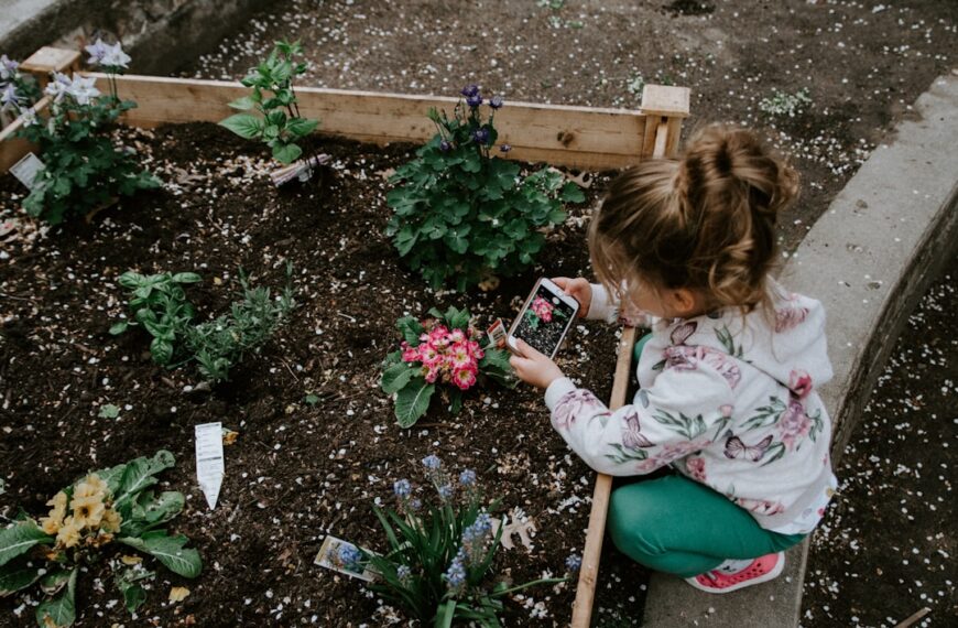 Photo Community garden