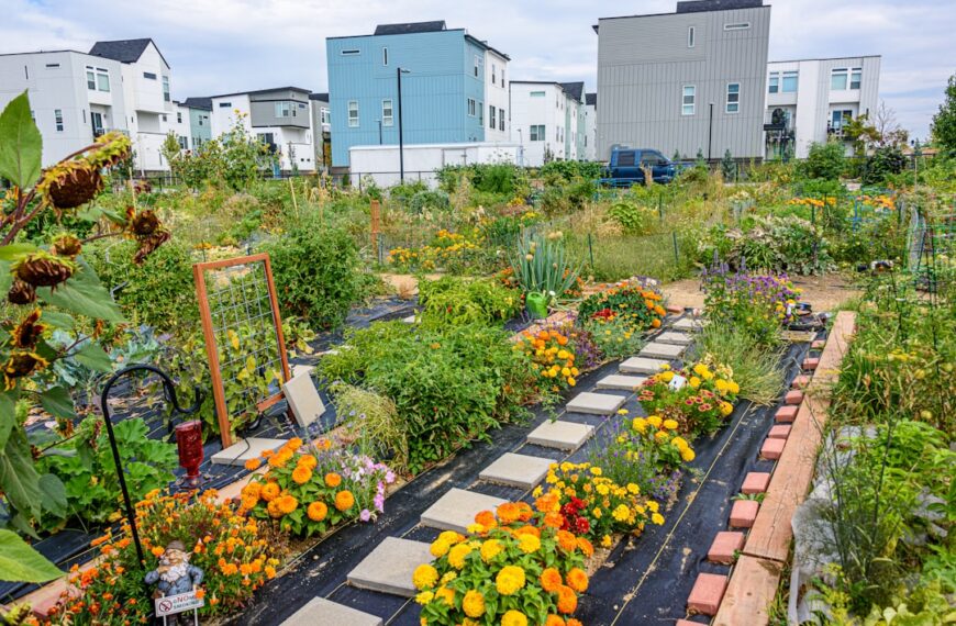 Photo Community garden